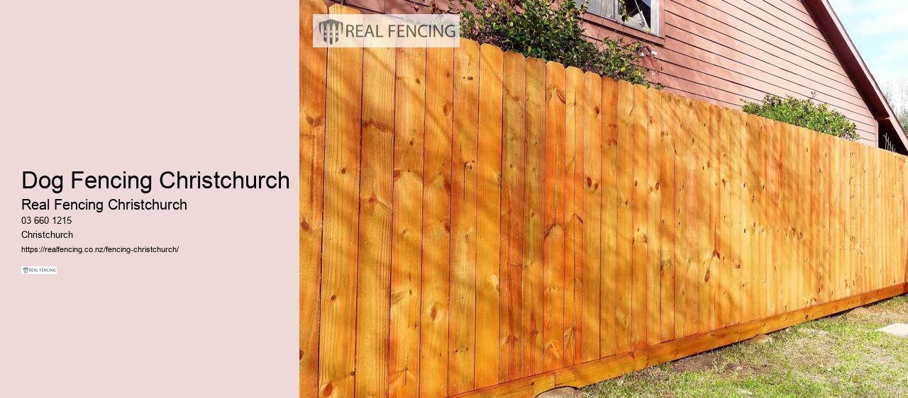 Dog Fencing Christchurch